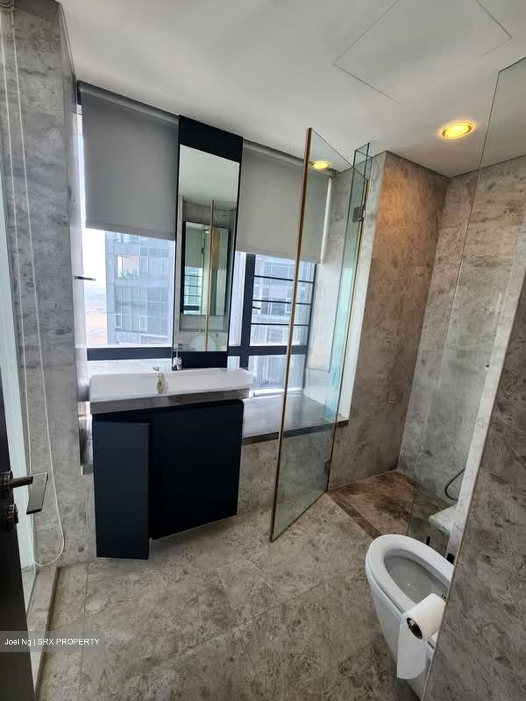 Skysuites@Anson (D2), Apartment #580759191